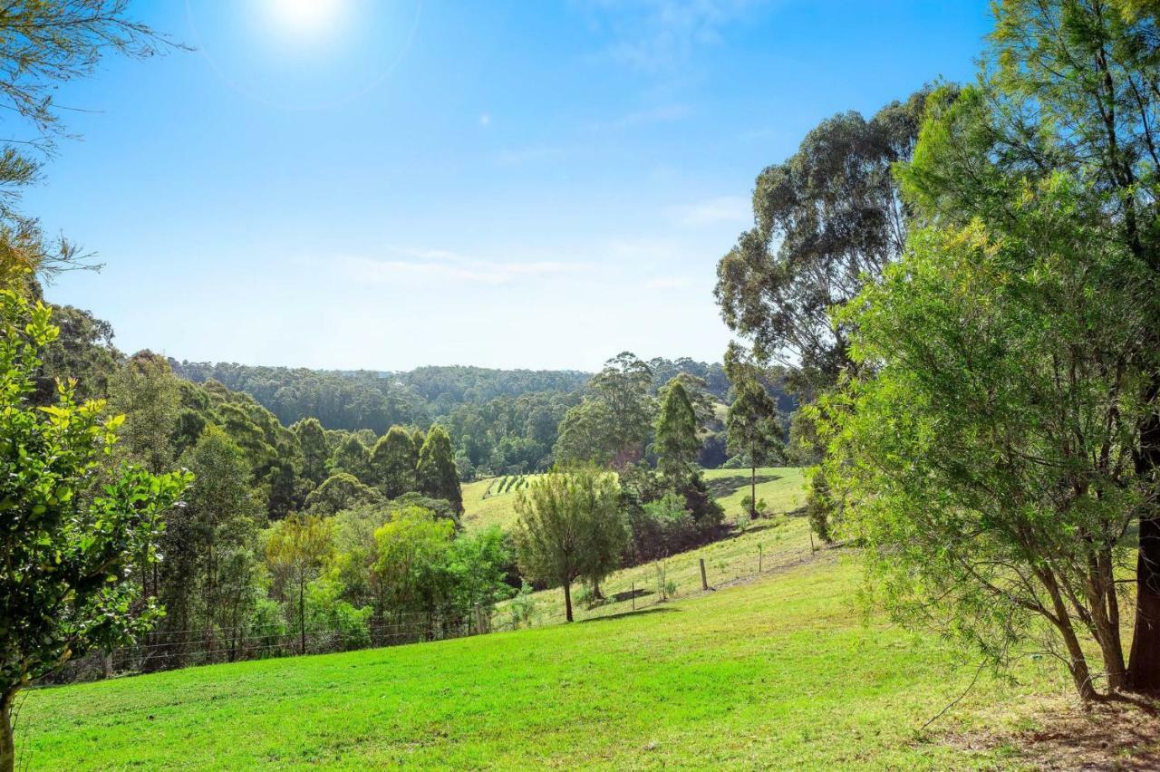Braeside Cabin Two Alphitonia Central Tilba Εξωτερικό φωτογραφία